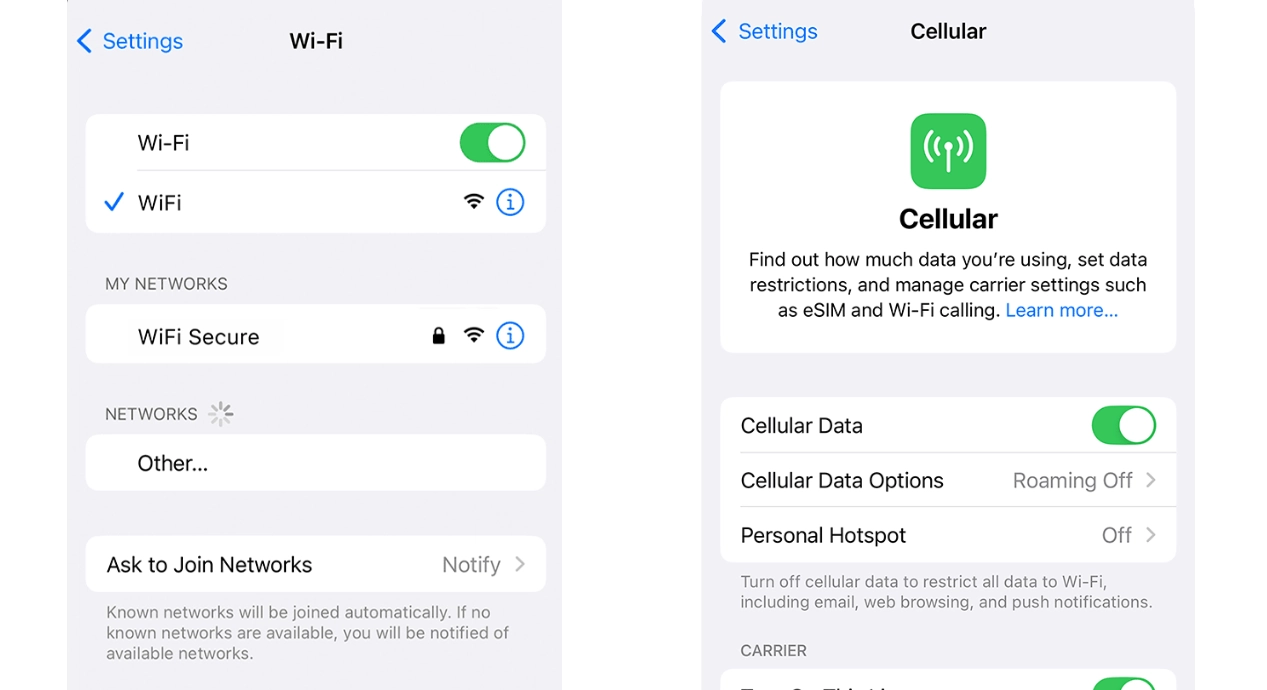 Switch to another network via Wi-Fi or mobile data