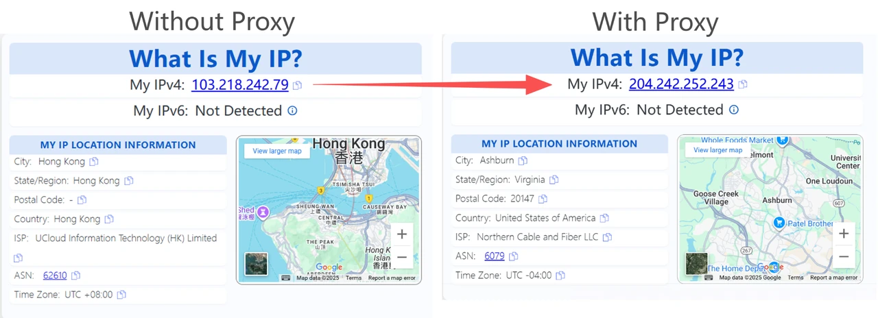 WhatIsMyIP proxy test